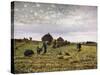 Harvest-Federico Rossano-Stretched Canvas