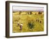 Harvest-Guglielmo Ciardi-Framed Giclee Print