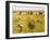 Harvest-Guglielmo Ciardi-Framed Giclee Print