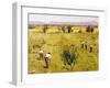 Harvest-Guglielmo Ciardi-Framed Giclee Print