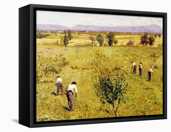 Harvest-Guglielmo Ciardi-Framed Stretched Canvas