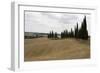 Harvested Barley Field with Cypress Trees, Tuscany, Italy-Martin Child-Framed Photographic Print
