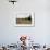 Harvested Barley Field with Cypress Trees, Tuscany, Italy-Martin Child-Framed Photographic Print displayed on a wall