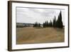 Harvested Barley Field with Cypress Trees, Tuscany, Italy-Martin Child-Framed Photographic Print