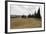 Harvested Barley Field with Cypress Trees, Tuscany, Italy-Martin Child-Framed Photographic Print