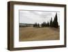 Harvested Barley Field with Cypress Trees, Tuscany, Italy-Martin Child-Framed Photographic Print