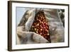 Harvested Coffee Cherries in a Burlap Sack, Kona Coast, the Big Island, Hawaii, Usa-Russ Bishop-Framed Photographic Print