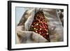 Harvested Coffee Cherries in a Burlap Sack, Kona Coast, the Big Island, Hawaii, Usa-Russ Bishop-Framed Photographic Print