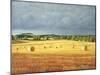 Harvested Fields at Kilconquhar, 2001-Peter Breeden-Mounted Giclee Print
