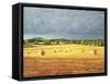 Harvested Fields at Kilconquhar, 2001-Peter Breeden-Framed Stretched Canvas