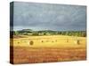 Harvested Fields at Kilconquhar, 2001-Peter Breeden-Stretched Canvas