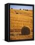 Harvested Fields of Hay-Jim Craigmyle-Framed Stretched Canvas