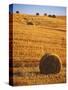 Harvested Fields of Hay-Jim Craigmyle-Stretched Canvas