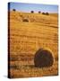 Harvested Fields of Hay-Jim Craigmyle-Stretched Canvas