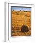 Harvested Fields of Hay-Jim Craigmyle-Framed Premium Photographic Print