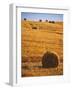 Harvested Fields of Hay-Jim Craigmyle-Framed Photographic Print