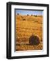 Harvested Fields of Hay-Jim Craigmyle-Framed Photographic Print