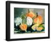 Harvested II-Jane Slivka-Framed Art Print