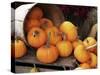 Harvested Pumpkins-Tony Craddock-Stretched Canvas