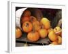 Harvested Pumpkins-Tony Craddock-Framed Photographic Print