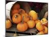 Harvested Pumpkins-Tony Craddock-Mounted Photographic Print