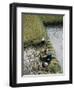 Harvesteing Rice, South Guizhou, China-Occidor Ltd-Framed Premium Photographic Print