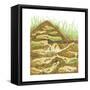 Harvester Ant Colony Cross Section. Insects, Biology-Encyclopaedia Britannica-Framed Stretched Canvas