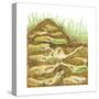 Harvester Ant Colony Cross Section. Insects, Biology-Encyclopaedia Britannica-Stretched Canvas