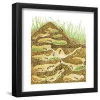 Harvester Ant Colony Cross Section. Insects, Biology-Encyclopaedia Britannica-Framed Poster