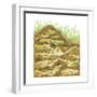 Harvester Ant Colony Cross Section. Insects, Biology-Encyclopaedia Britannica-Framed Premium Giclee Print