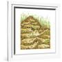 Harvester Ant Colony Cross Section. Insects, Biology-Encyclopaedia Britannica-Framed Art Print