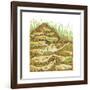 Harvester Ant Colony Cross Section. Insects, Biology-Encyclopaedia Britannica-Framed Art Print