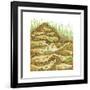 Harvester Ant Colony Cross Section. Insects, Biology-Encyclopaedia Britannica-Framed Art Print