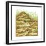 Harvester Ant Colony Cross Section. Insects, Biology-Encyclopaedia Britannica-Framed Art Print