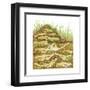 Harvester Ant Colony Cross Section. Insects, Biology-Encyclopaedia Britannica-Framed Art Print