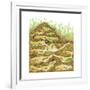 Harvester Ant Colony Cross Section. Insects, Biology-Encyclopaedia Britannica-Framed Art Print