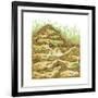 Harvester Ant Colony Cross Section. Insects, Biology-Encyclopaedia Britannica-Framed Art Print