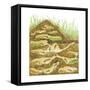 Harvester Ant Colony Cross Section. Insects, Biology-Encyclopaedia Britannica-Framed Stretched Canvas