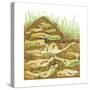 Harvester Ant Colony Cross Section. Insects, Biology-Encyclopaedia Britannica-Stretched Canvas