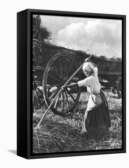 Harvester in Picardie, c.1900-Emile Frechon-Framed Stretched Canvas