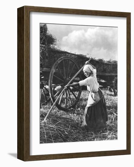 Harvester in Picardie, c.1900-Emile Frechon-Framed Photographic Print