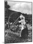 Harvester in Picardie, c.1900-Emile Frechon-Mounted Photographic Print