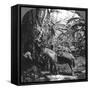 Harvesting Bananas, Costa Rica, 1909-null-Framed Stretched Canvas