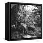 Canvas Black
