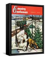 "Harvesting Christmas Trees," Country Gentleman Cover, December 1, 1942-Francis Chase-Framed Stretched Canvas