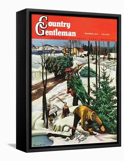 "Harvesting Christmas Trees," Country Gentleman Cover, December 1, 1942-Francis Chase-Framed Stretched Canvas