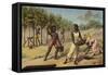 Harvesting Cocoa, Africa-null-Framed Stretched Canvas