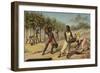 Harvesting Cocoa, Africa-null-Framed Giclee Print