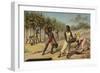 Harvesting Cocoa, Africa-null-Framed Giclee Print