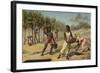 Harvesting Cocoa, Africa-null-Framed Giclee Print